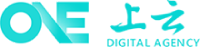 大安市软件开发公司